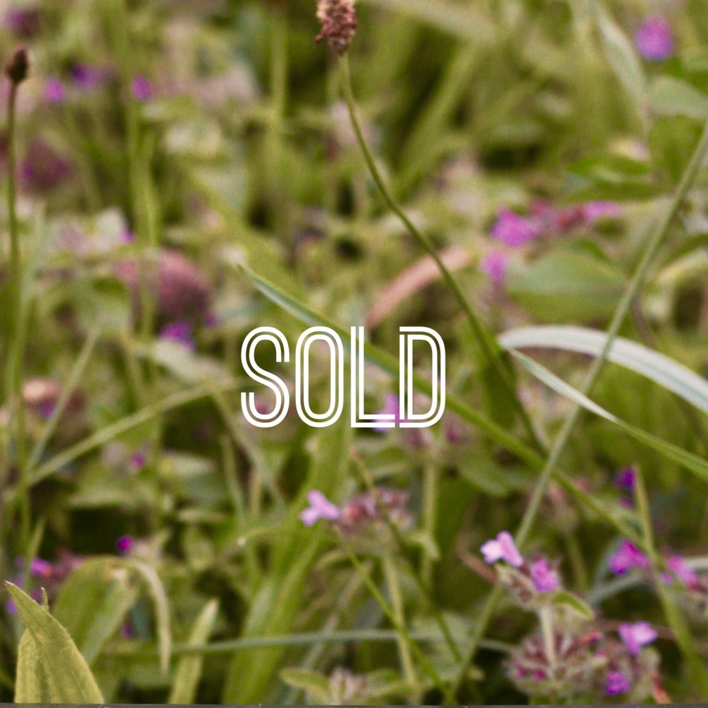 Everything Beyond This Listing is Sold